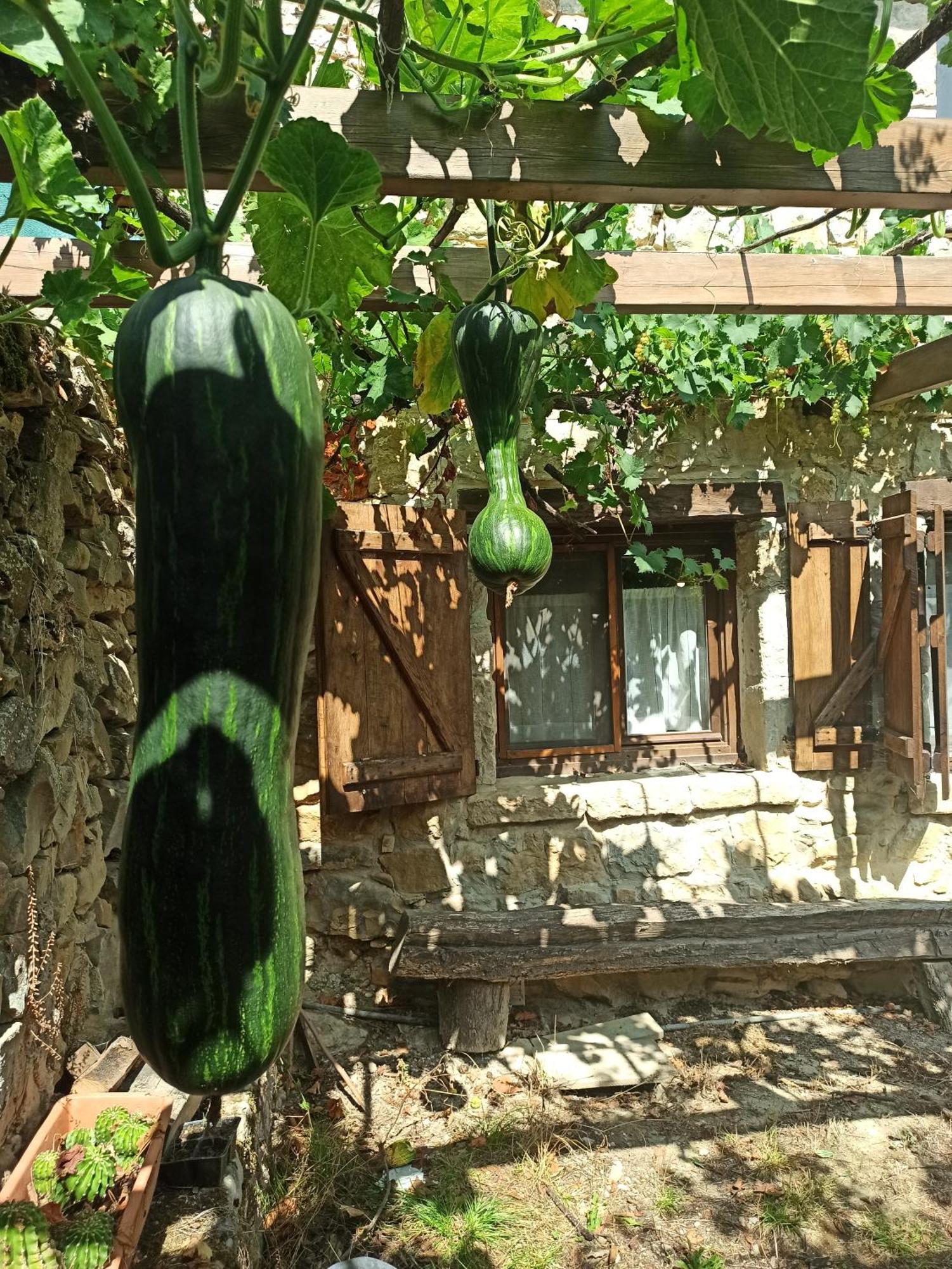 Casa Rural Ttipiaenea Landetxea Ariz  Kültér fotó